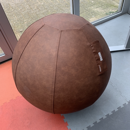 Bureaustoelen - Zitbal Novus