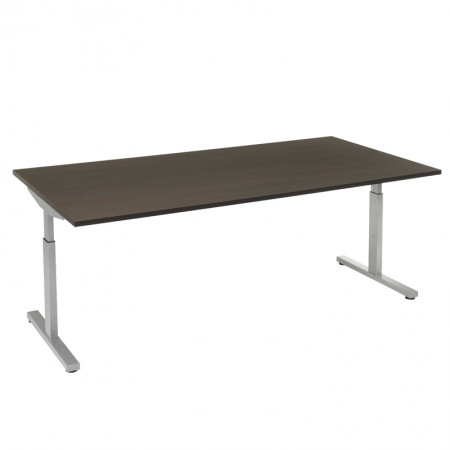 Bureaus en Tafels - Bureautafel Pinta