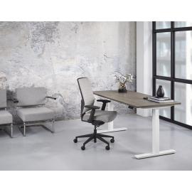 ZF3 zit/sta tafel - Bureaus en Tafels