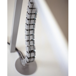 Vertebra_foto_2.jpg
