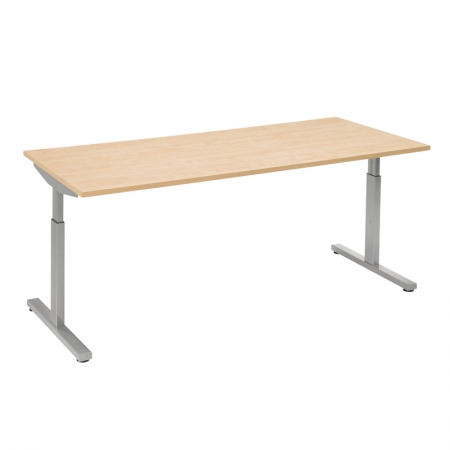 Bureaus en Tafels - Bureautafel Pinta